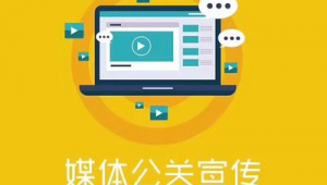 智聯(lián)灣區(qū)，網(wǎng)贏未來 廣東省網(wǎng)絡(luò)推廣與市場(chǎng)營銷整合策劃方案